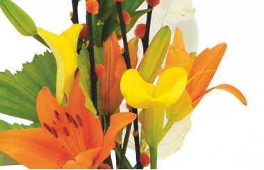 zoom sur des callas jaunes et des lys oranges