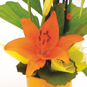 mosaïque : vue sur un magnifique lys orange