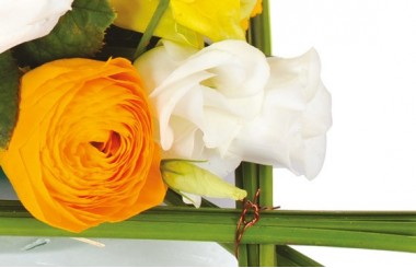zoom sur un renoncule orange et lysianthus blanc