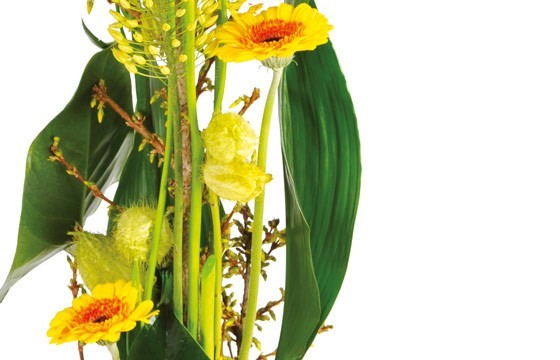 image du centre de la compositon florale Sunlight