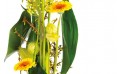 image du centre de la compositon florale Sunlight