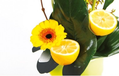 image d'un gerberas de couleur jaune