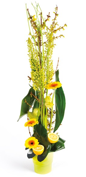 mosaïque : vue sur l'ensemble de la création florale