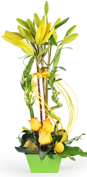 mosaïque : vue sur la création florale Rêve de Lys