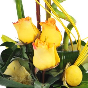 mosaïque : vue sur les roses jaune de la création