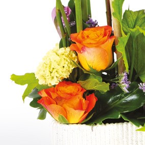 mosaïque : vue sur les roses oranges