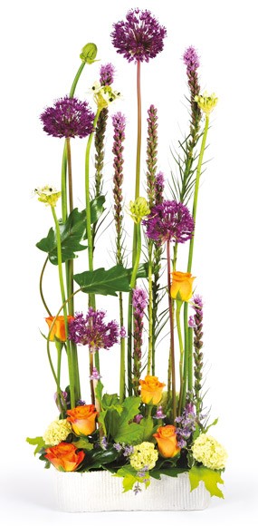 mosaïque : vue sur la composition Découverte