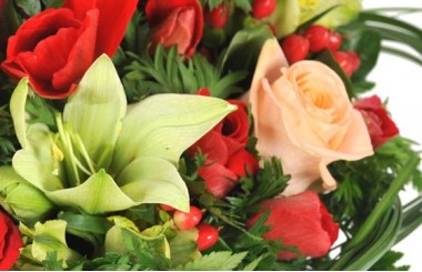 vue sur un fleuron de lys et rose rose pâle de la composition