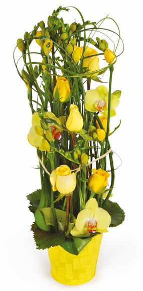 mosaïque : vue sur la composition florale