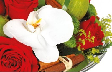 vue sur une orchidée blanche