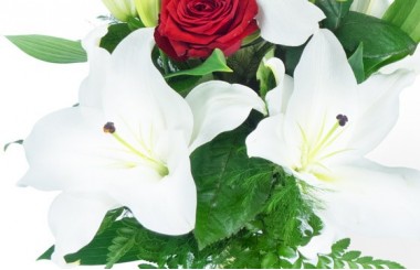 L'Agitateur Floral | zoom sur les lys du Bouquet de fleurs Mystère de Roses