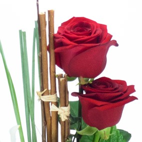 mosaïque : vue sur deux roses rouges