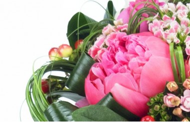 L'Agitateur Floral | vue sur une magnifique pivoine de couleur rose