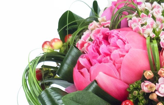 L'Agitateur Floral | vue sur une magnifique pivoine de couleur rose