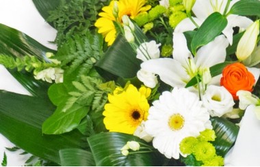 vue sur les gerberas jaune, lys et rose