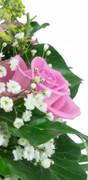 mosaïque : vue sur une rose rose en fond