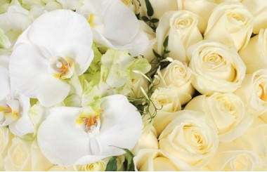 zoom sur le centre du coeur en fleurs sur les roses blanches et orchidées