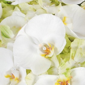 mosaïque : vue sur un fleuron d'orchidée