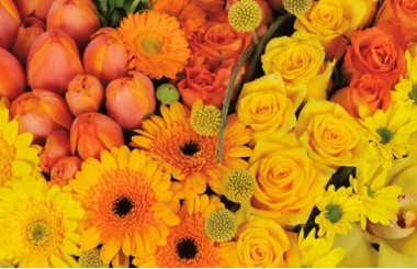 zoom sur le centre du coeur en fleurs de deuil murmure