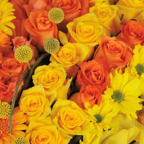 mosaïque : zoom sur les roses jaune et orange