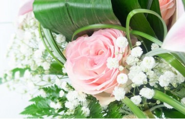 L'Agitateur Floral | vue sur une magnifique rose rose et du gypsophile