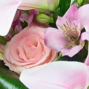 mosaïque : vue sur une rose rose et du freesia