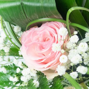 mosaïque : vue sur une rose au milieu de gypsophile