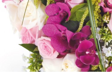 vue sur les orchidées du coeur de deuil Songe