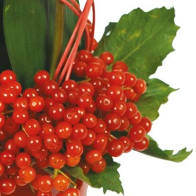 mosaïque : vue sur les hypéricum de la composition de roses rouges