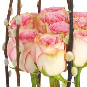 mosaïque : vue sur le fagot de roses roses