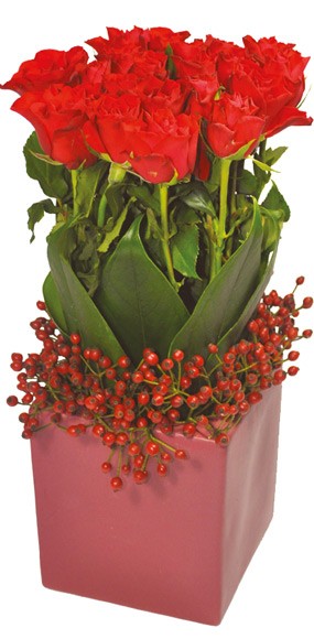 mosaïque : image du carré de roses rouges