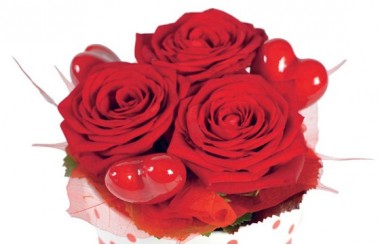 zoom sur les trois roses rouges roméo