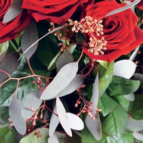 mosaïque : vue sur le feuillage du bouquet