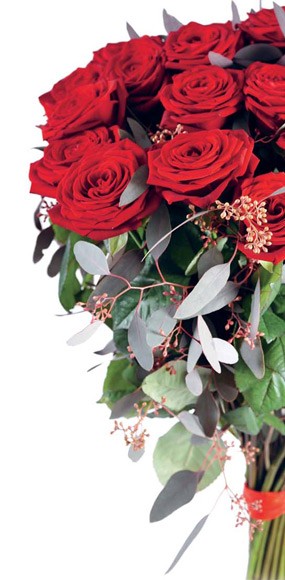 mosaïque : vue sur la moitié du bouquet de roses rouges longues tiges