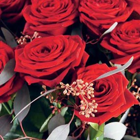 mosaïque : zoom sur des roses rouges