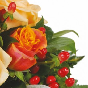 mosaïque : vue sur une rose orange