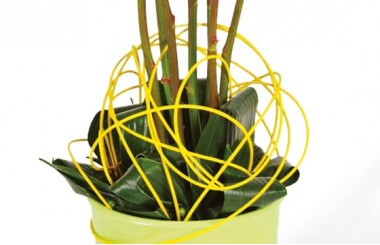 image du bas de la composition de roses jaunes