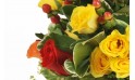 zoom sur une rose jaune et rouge