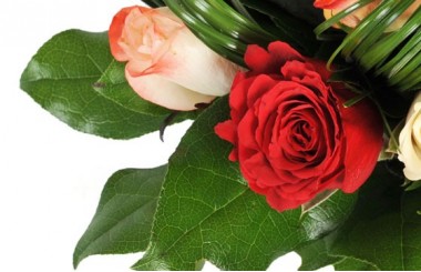 zoom sur une rose rouge du bouquet Joie