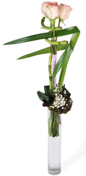 mosaïque : vue sur le bouquet linéaire de roses roses