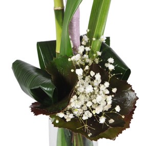 mosaïque : zoom sur le gypsophile