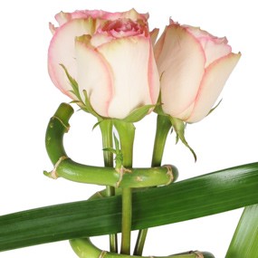 mosaïque : vue sur les trois roses roses