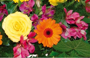 vue sur le centre de la composition