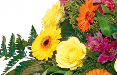 vue sur des roses jaunes et gerberas jaunes