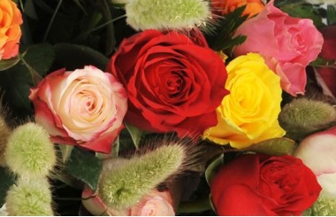 zoom sur une magnifique rose rouge de la composition Florever