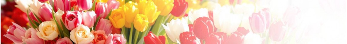 Bouquet de Tulipes | Votre Artisan Fleuriste Local