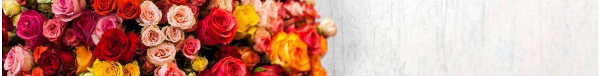 Livraison de Roses | Bouquet & Compo réalisés par un artisan Fleuriste