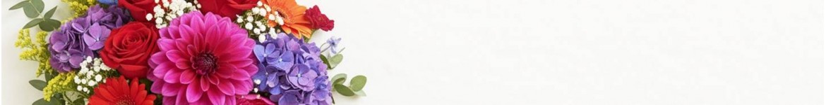 Bouquets de fleurs colorés