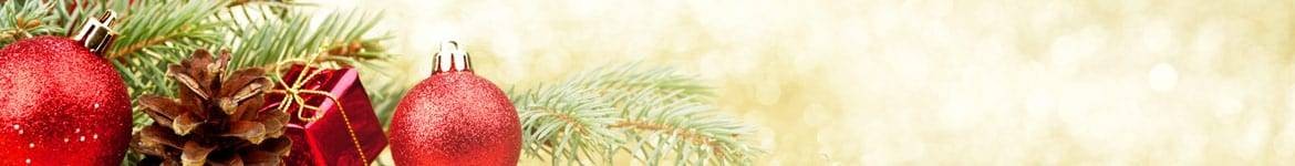 Sapins, compositions, bouquets, plantes de Noël livrés par un fleuiste