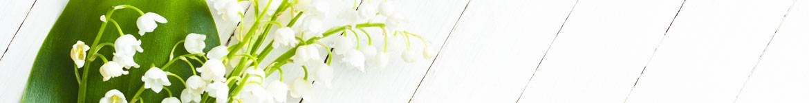 Bouquets de Muguet pour le 1er Mai